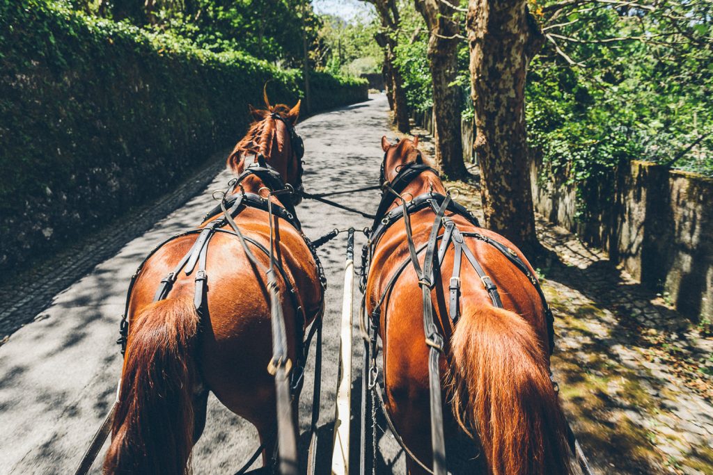 Elopement Casamento Sintra-Lisboa Charrete nas ruas