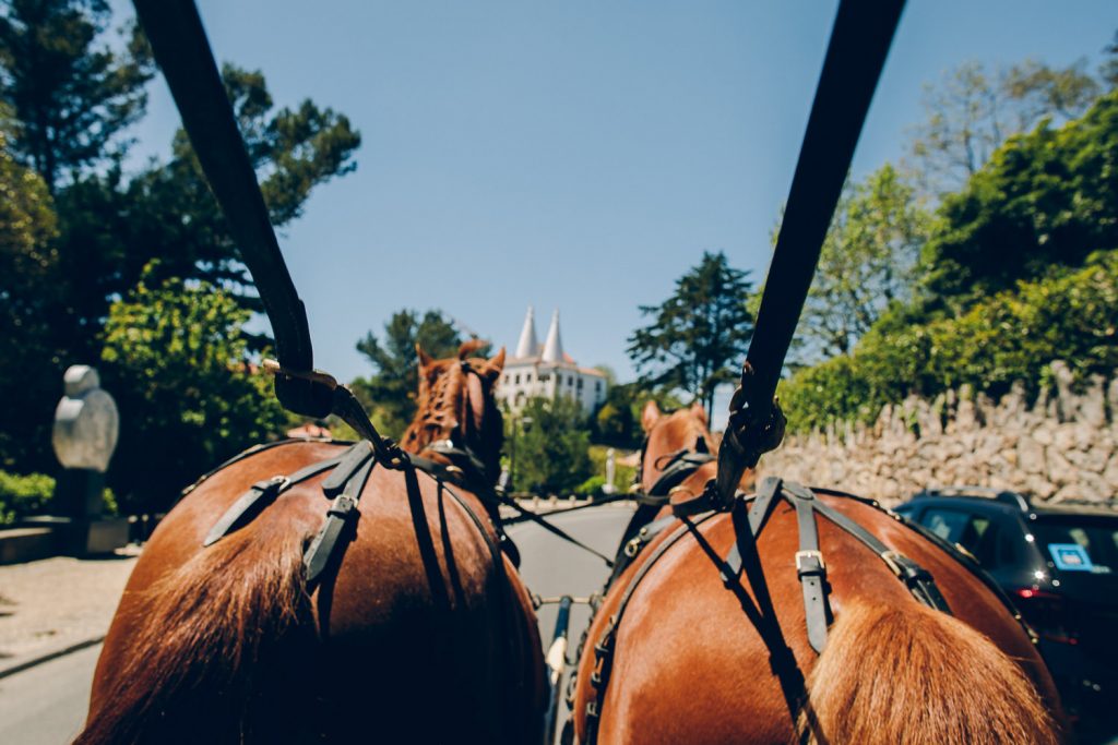 Elopement Casamento Sintra-Lisboa charrete e castelo