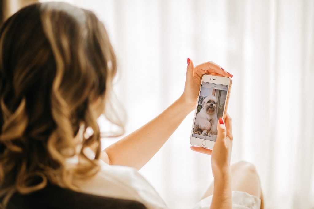 destination wedding palácio estoi noiva olhando o celular para seu cachorro