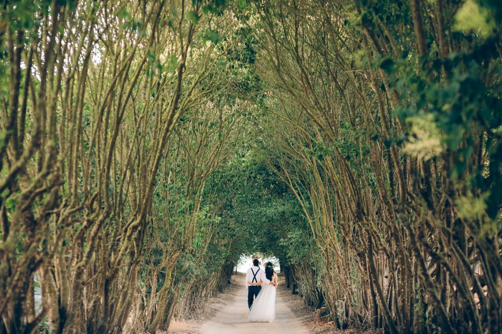 elopement boho quinta de alcube noivos no corredor de arvóres