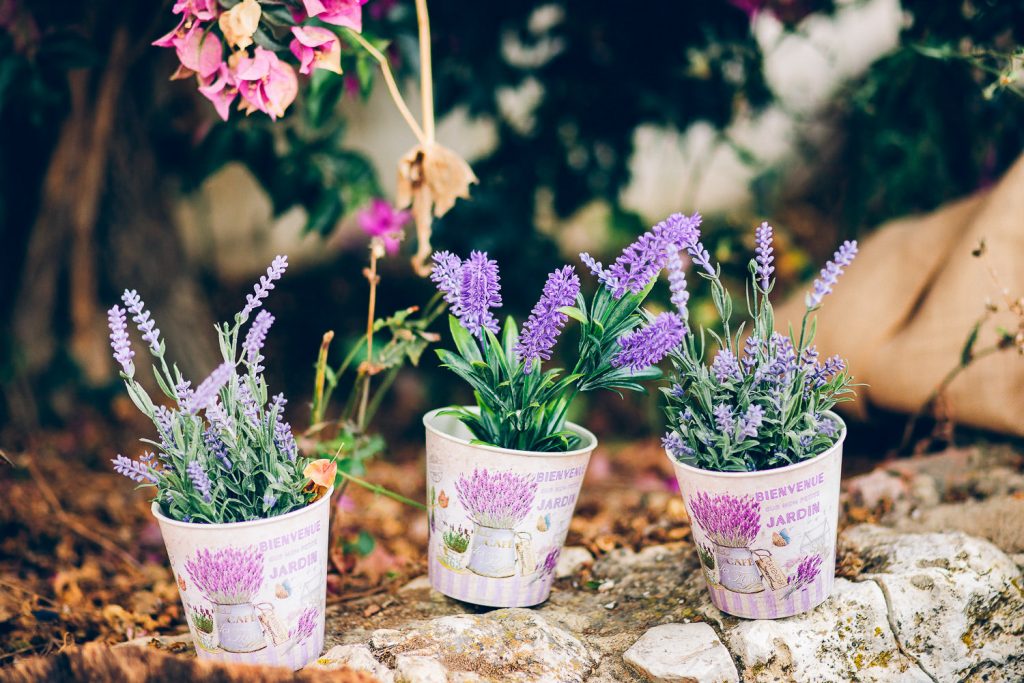 elopement boho quinta de alcube decoração rústica