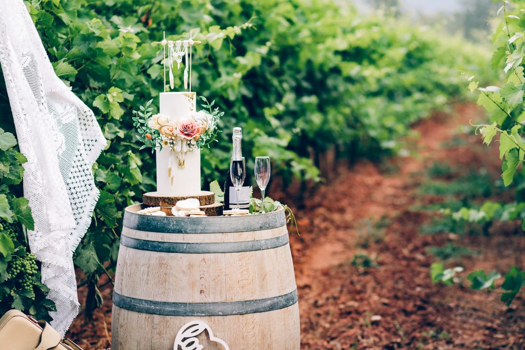 elopement boho quinta de alcube decoração num vinhedo