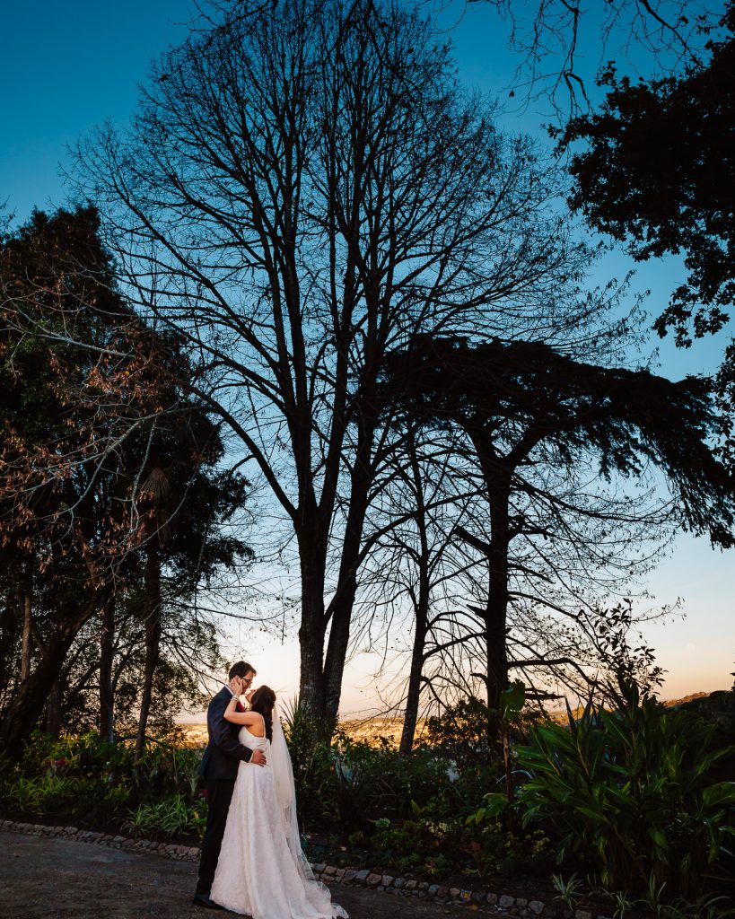 noivos no jardim do lado de uma árvore gigante