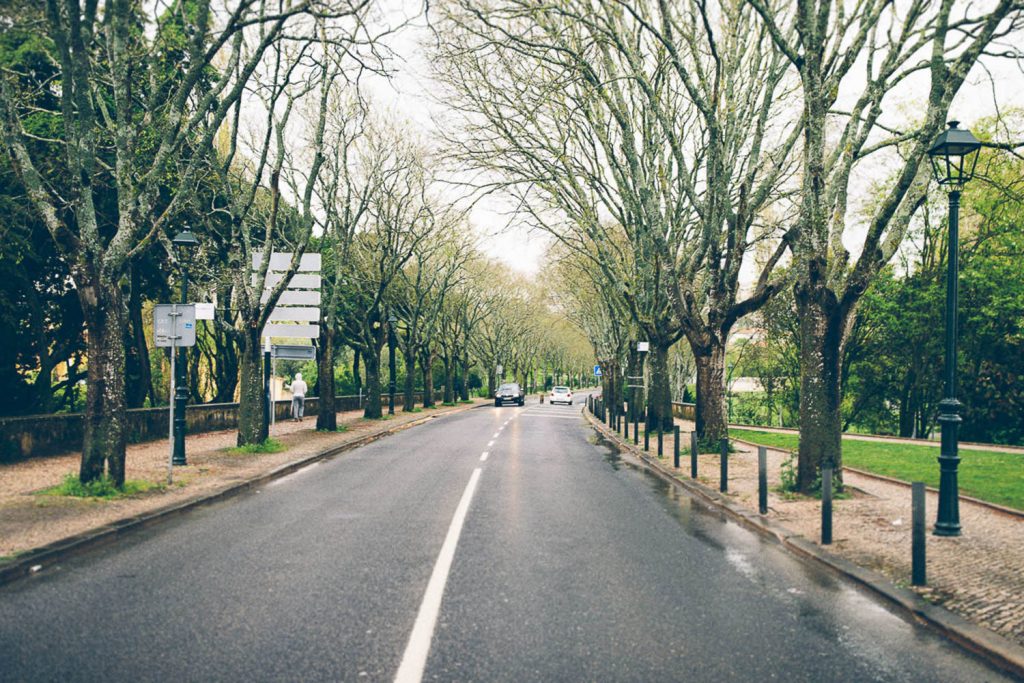 vila casamento sintra lisboa porugal rua com árvores em Sintra Lisboa